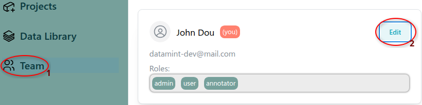Navigating to the Teams page and editing your profile